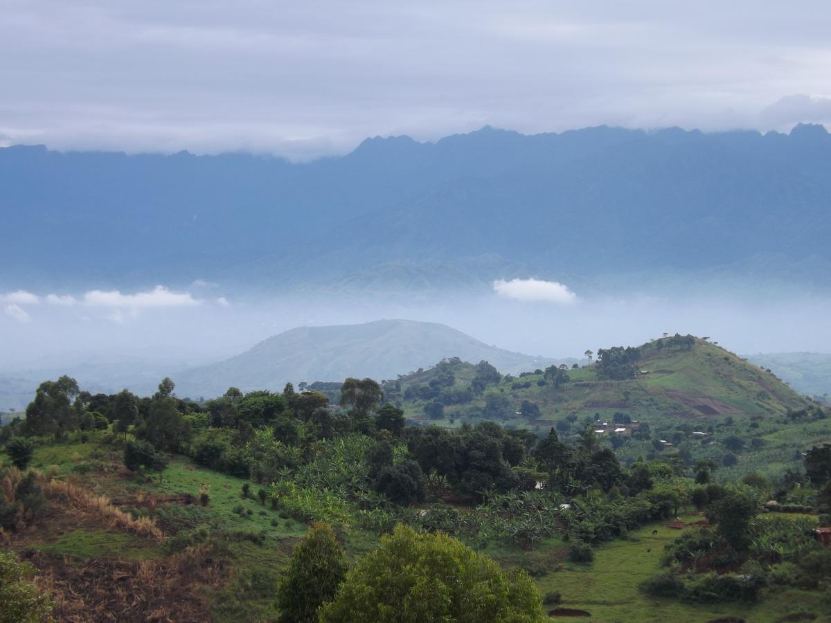Isunga Lodge Kibale National Park Eksteriør bilde